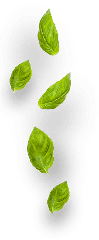 leaf-13